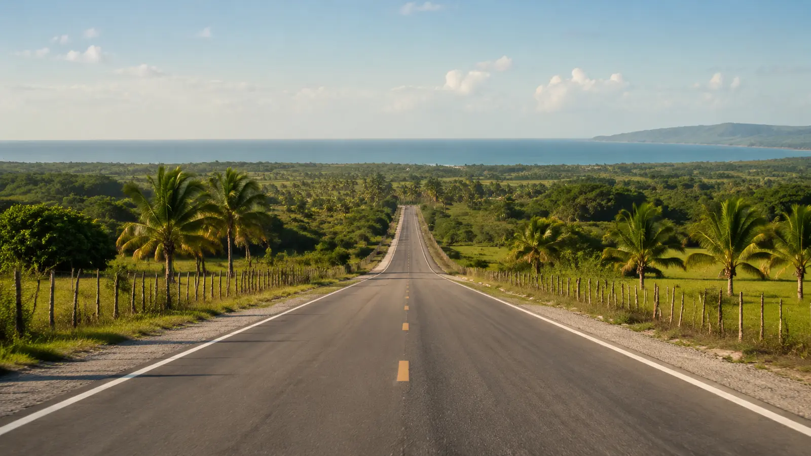 A chauffeured vehicle on a long resort access road lined with palms in the Punta Cana area