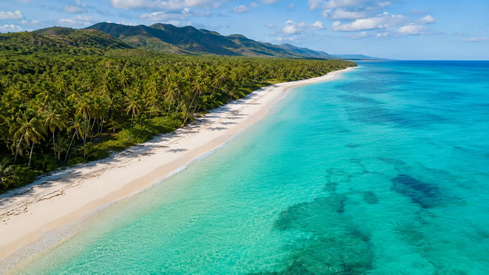 An aerial view of a long palm-lined white sand beach and clear turquoise water in the Dominican Republic