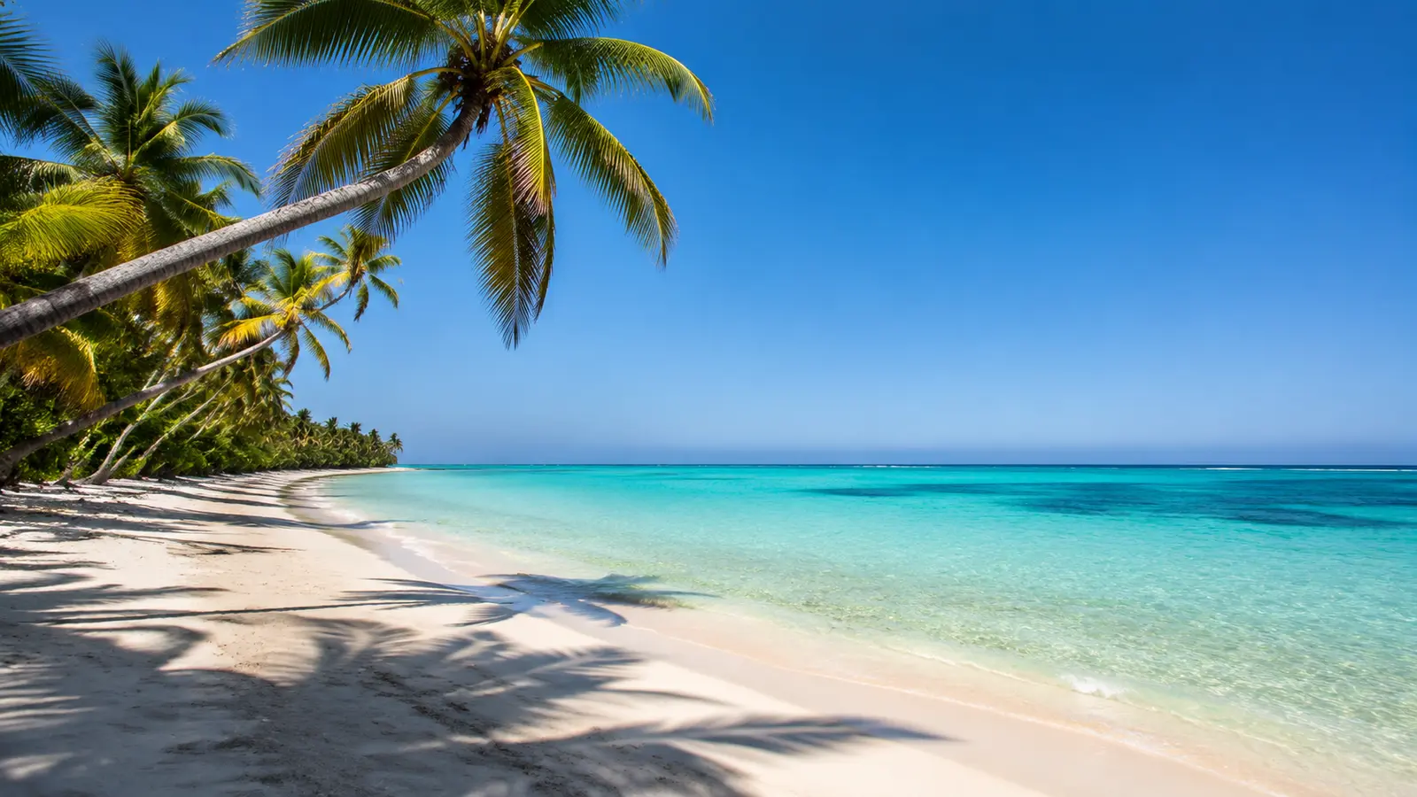 Playa dominicana con palmeras y aguas turquesas en un día soleado