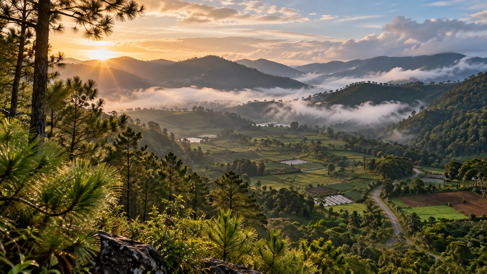 Névoa matinal sobre um vale de montanha verde com pinheiros e campos cultivados