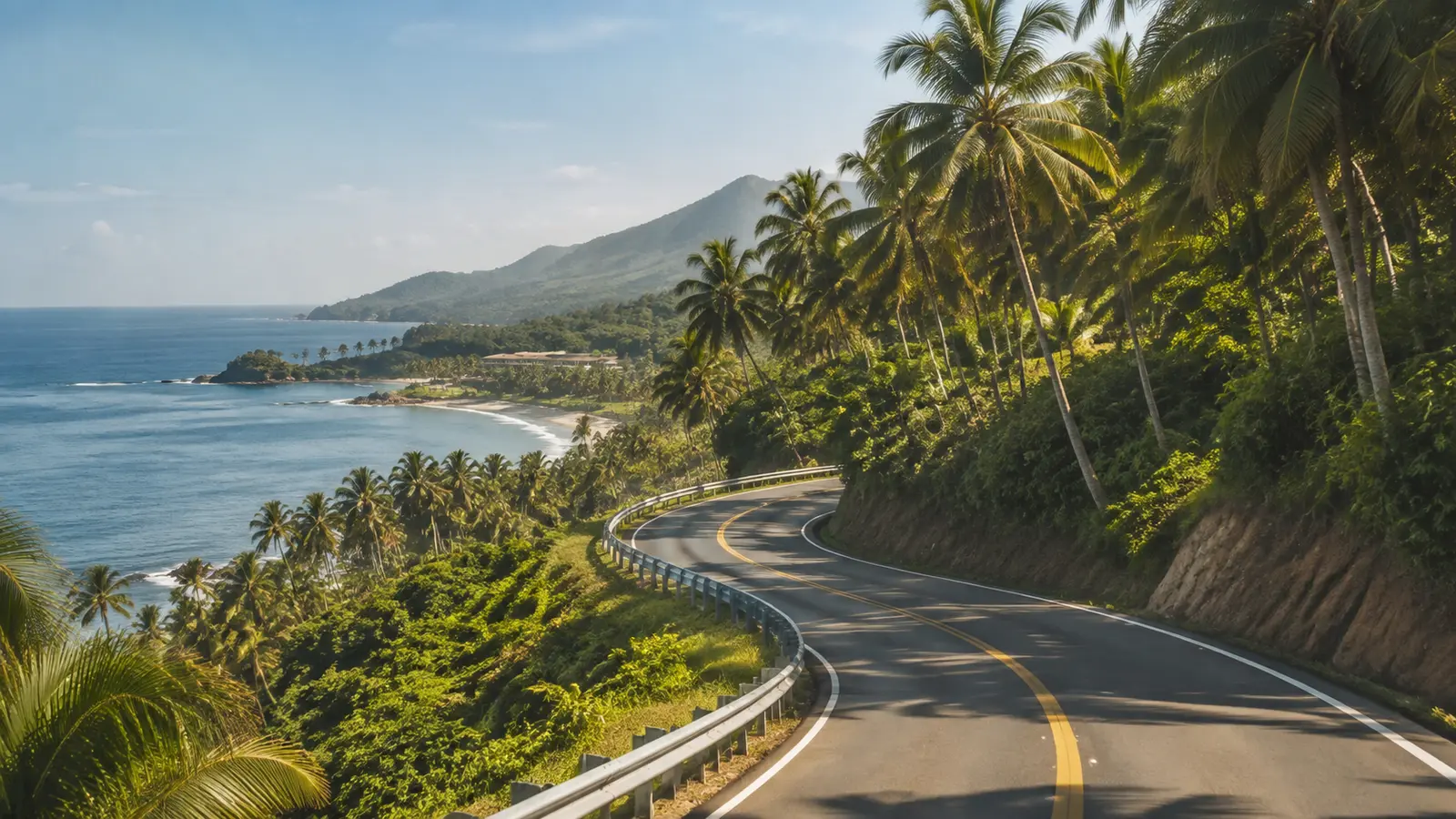 A chauffeured vehicle on a palm-lined coastal road heading toward Las Terrenas in Samaná