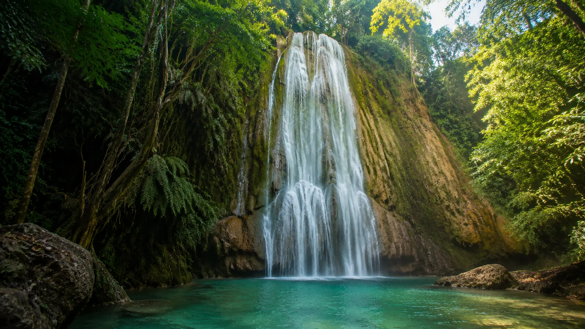 El Limón waterfall falling into a turquoise pool surrounded by rainforest in Samaná