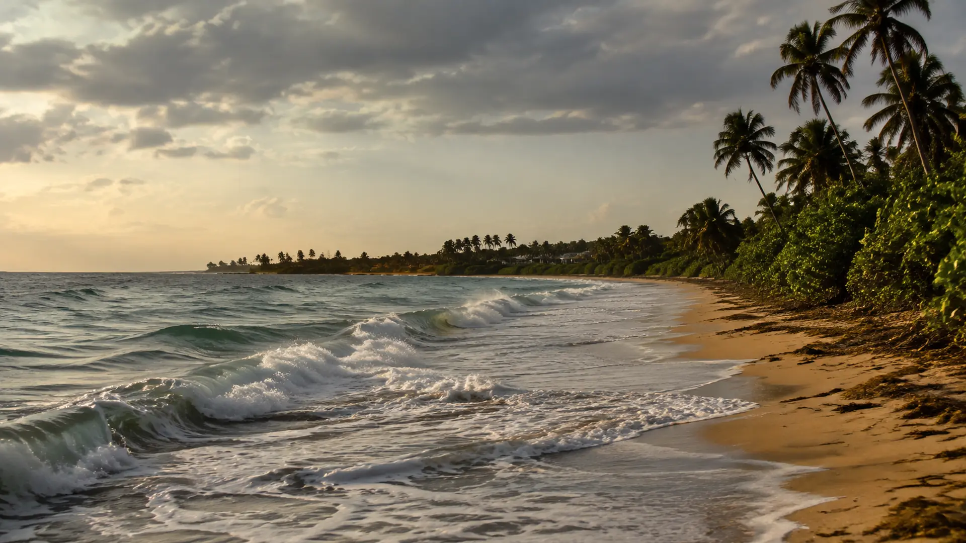 Waves breaking on the wide sand and palm-lined shore of Uvero Alto in the late afternoon