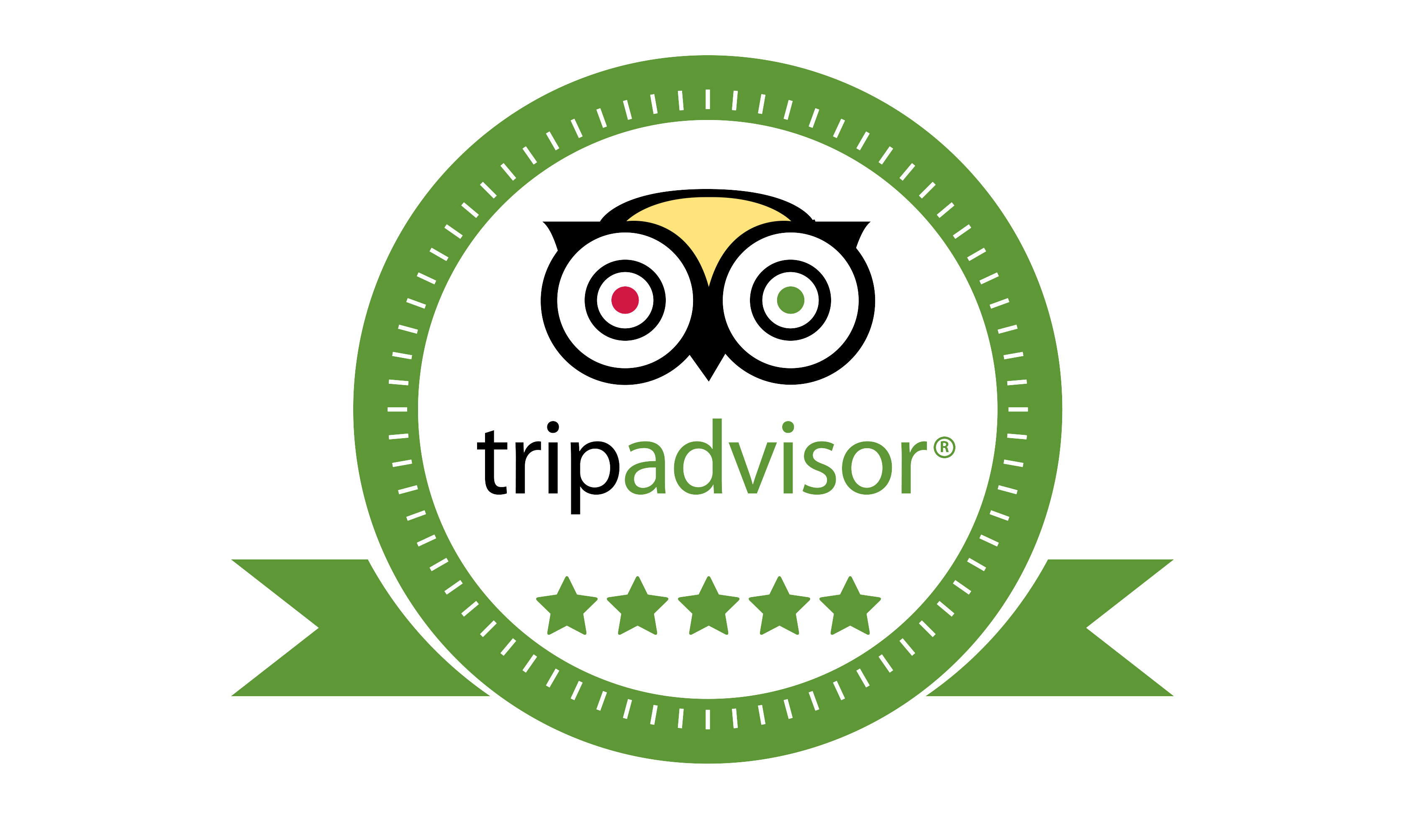 punta cana tripadvisor