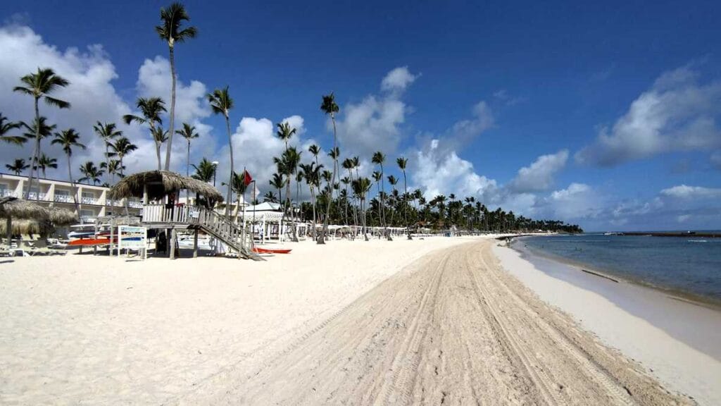 Situación de las algas sargazo en la playa de Punta Cana