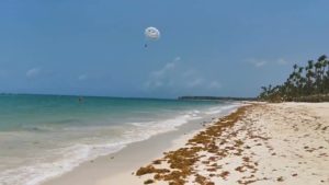 Aviso a los viajeros sobre la presencia de algas en las playas de Punta Cana